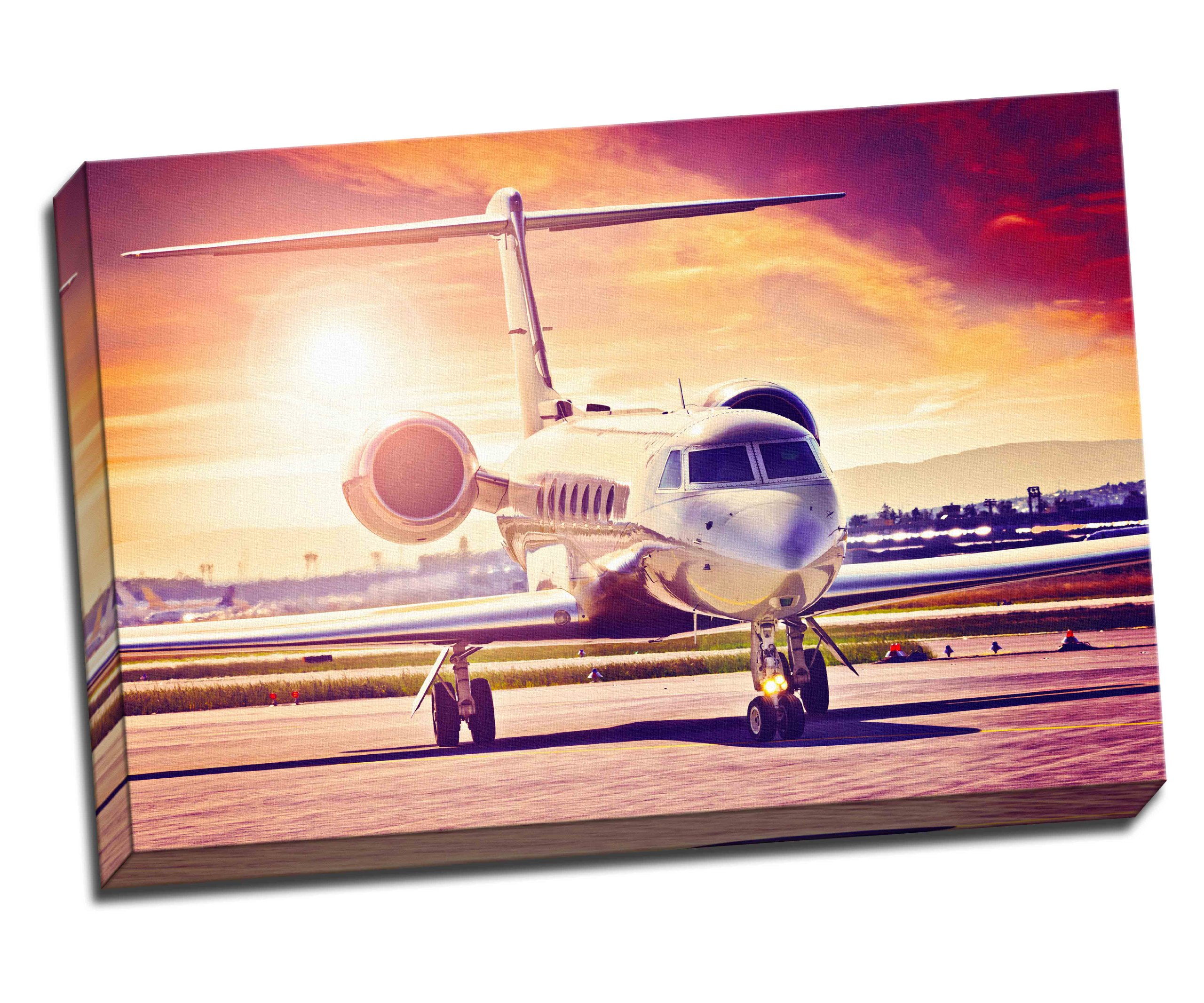 Panther Print Private Jet In Beautiful Sun Canvas Art Print Poster 30"X 20" Inches