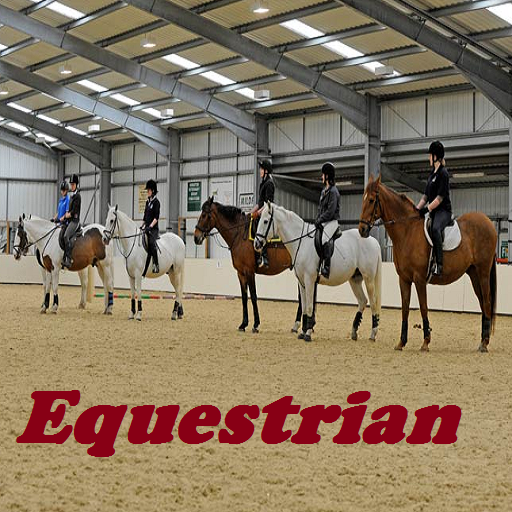 Equestrian Sports Die 15 besten Produkte im Vergleich Reiterguide