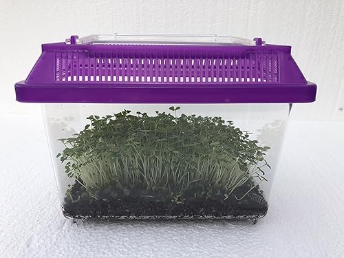 Miniatura 6 de Roly Poly Farm VivariumTerrarium de Pocket Pets (colores surtidos) (pequeño con capacidad para hasta 250 roles)