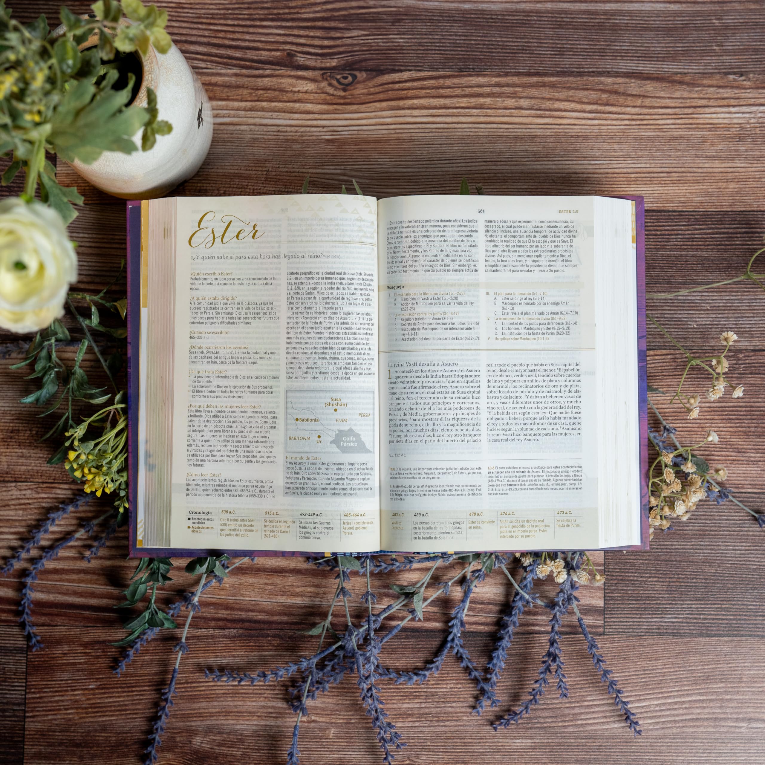 Biblia Reina Valera 1960 de Estudio para Mujeres, Tapa dura | RVR 1960 Women's Study Bible, Hardcover (Spanish Edition) — Amazon image 16