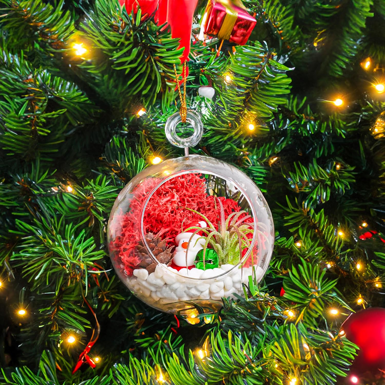 Creations by Nathalie - DIY Holiday Ornaments Terrarium Kit - Live Air Plants - 2 Glass Terrariums, Reindeer Moss, Christmas Figurines, White Stones