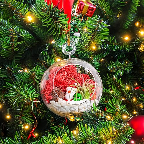 Miniatura 4 de Kit de terrario de adornos navideños de bricolaje - Plantas de aire vivo - 2 terrarios de vidrio, musgo de reno, figuras de Navidad, piedras blancas