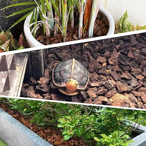 Miniatura 5 de Corteza de orquídea orgánica de 3 cuartos de galón para plantas en maceta, desarrollo de raíces de plantas de orquídeas y mezcla de enmienda de