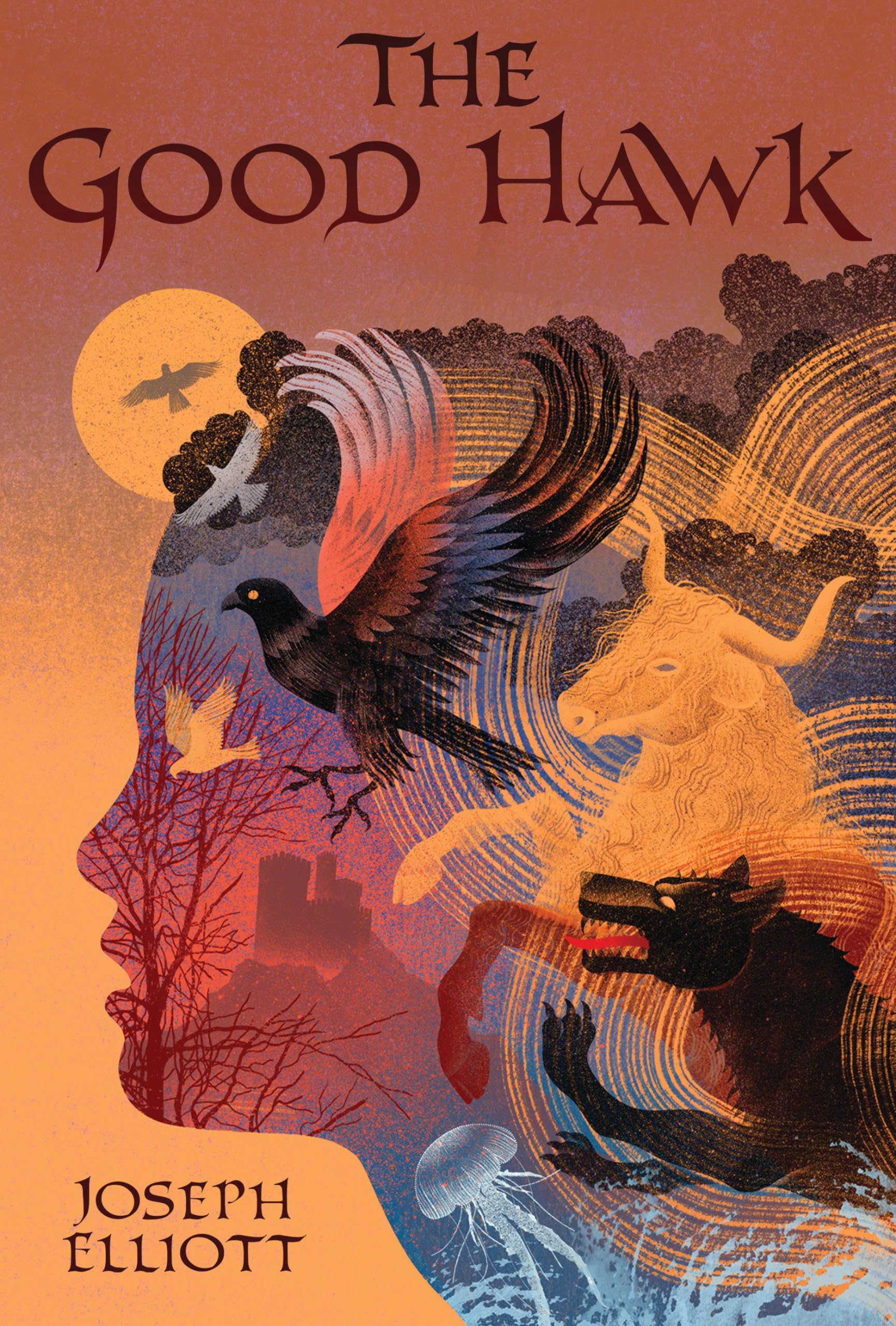 Buy The Good Hawk (Shadow Skye, Book One) — BookShops.in