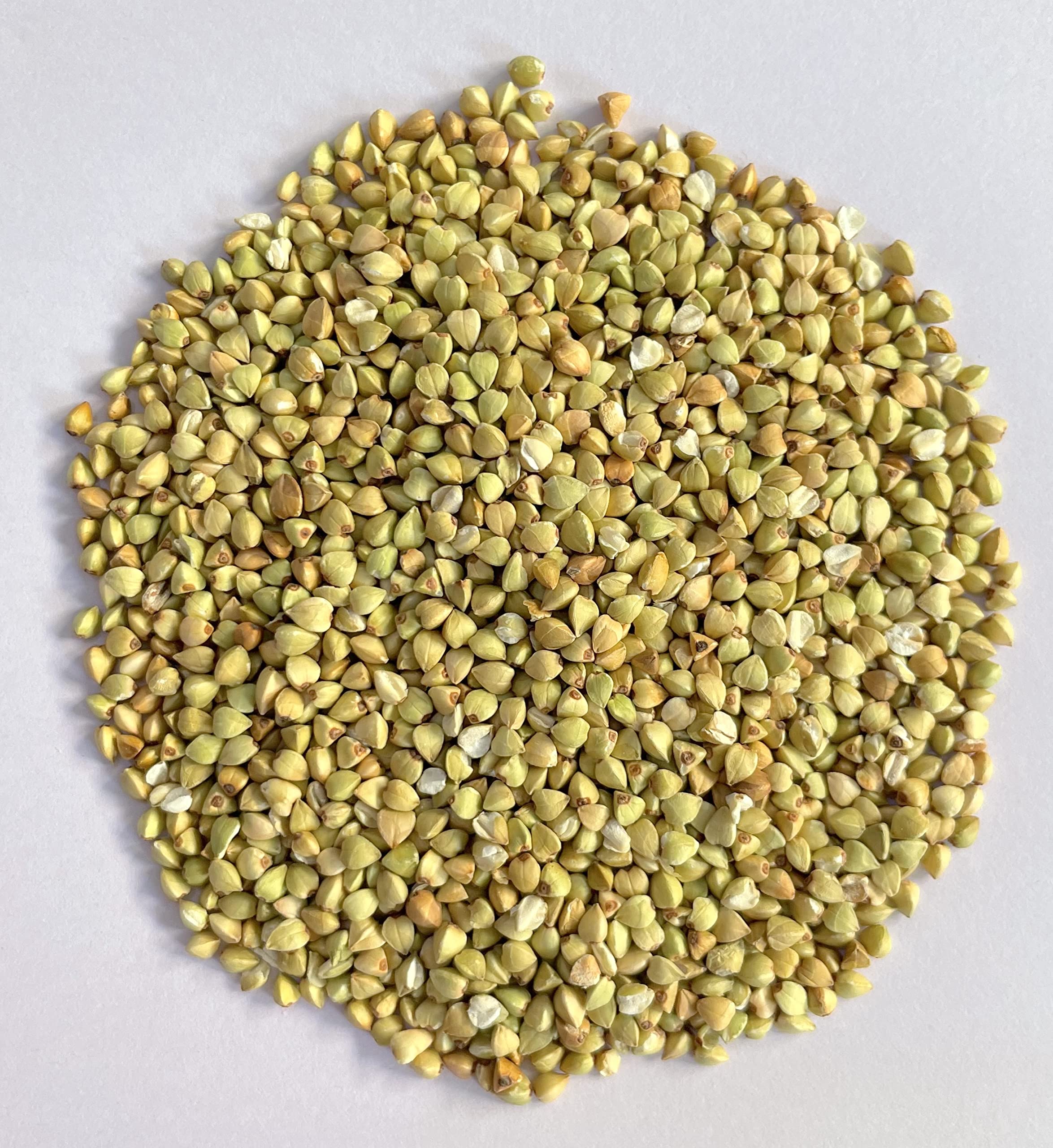 A D Food & Herbs Buckwheat Kuttu Giri Buckwheat Seed Groat Kasha Gluten Free (100 GMS x Pack of 1) (B0C5JXFQG1) Amazon Price History, Amazon Price Tracker