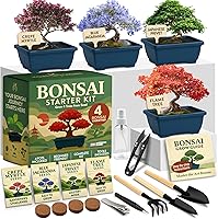 Vista 10 de Kit de plantador de jardín de hierbas HOME GROWN para interior – Regalo navideño único para adultos, hombres y mujeres - Cultiva 4 semillas