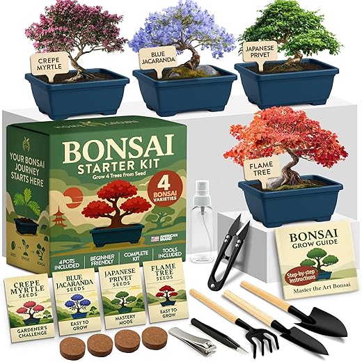 HOME GROWN Bonsai Tree Starter Kit – Unique Christmas Gift for Adults, Men & Women - Grow 4 Indoor Bonsai Trees from Seeds – Beginner DIY Crafts & Hobby Kit Gardening Gift for Plant Lovers, Mom & Dad