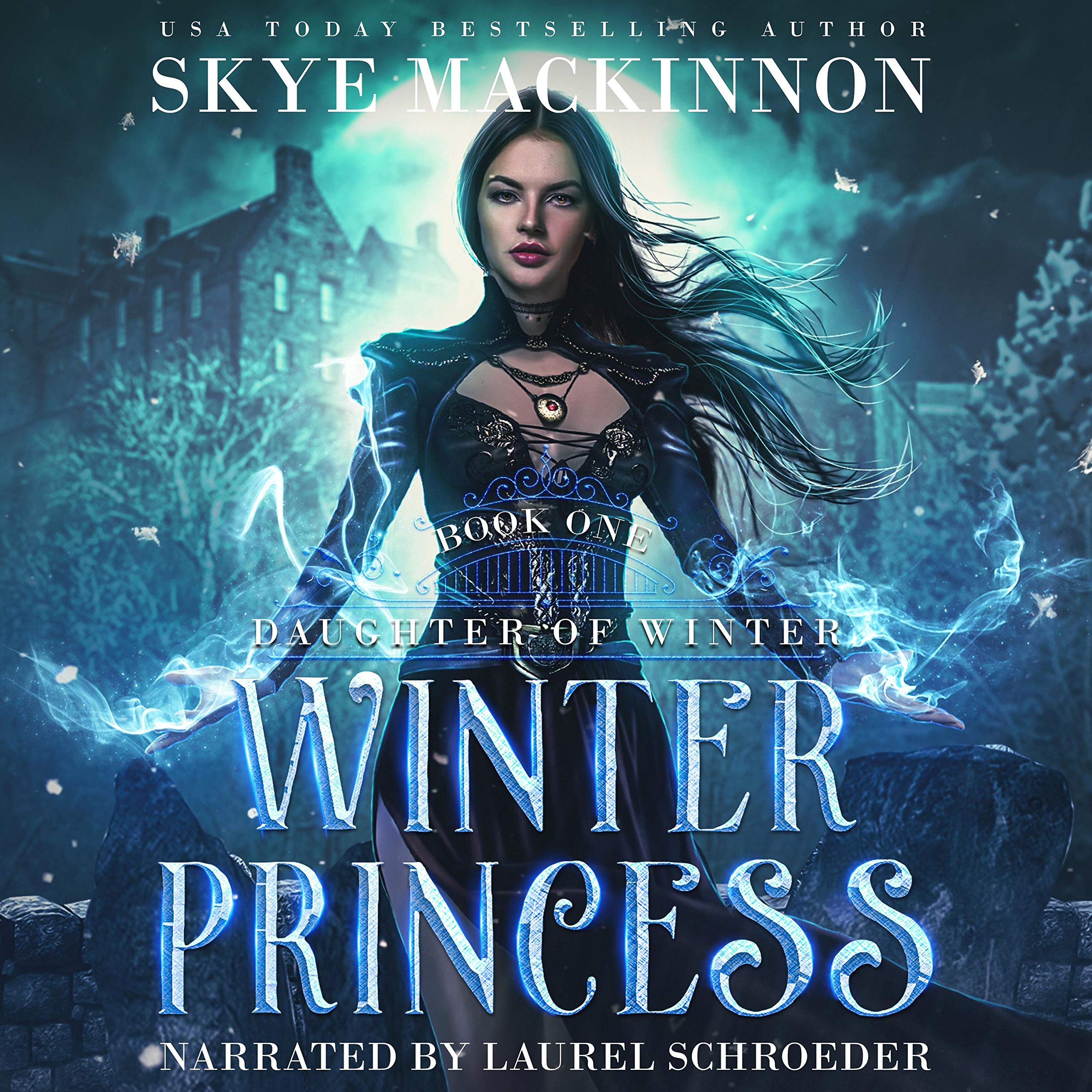 Cover art for Winter Princess