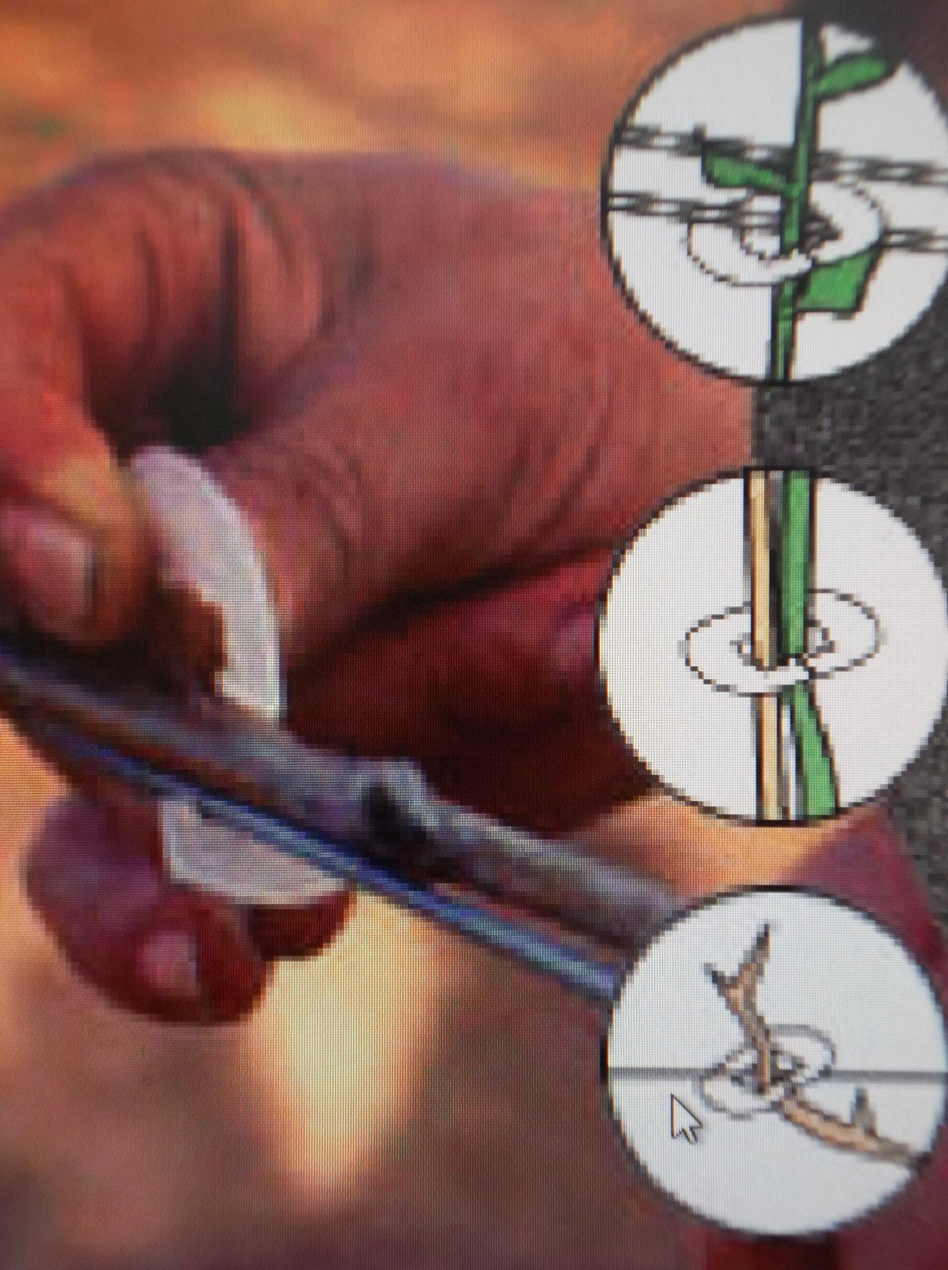 100 - Clip-it Vine Hooks