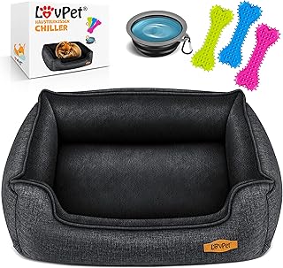 Lovpet® Hundebett Hundekissen Hundekorb Chiller, Inkl. Napf + 3X Kauknochen, Hundesofa Kissen für Kleine, Mittelgroße & Große Hunde, Bezug abnehmbar und waschbar, XL 110 x 75 x 27 cm Anthrazit product image