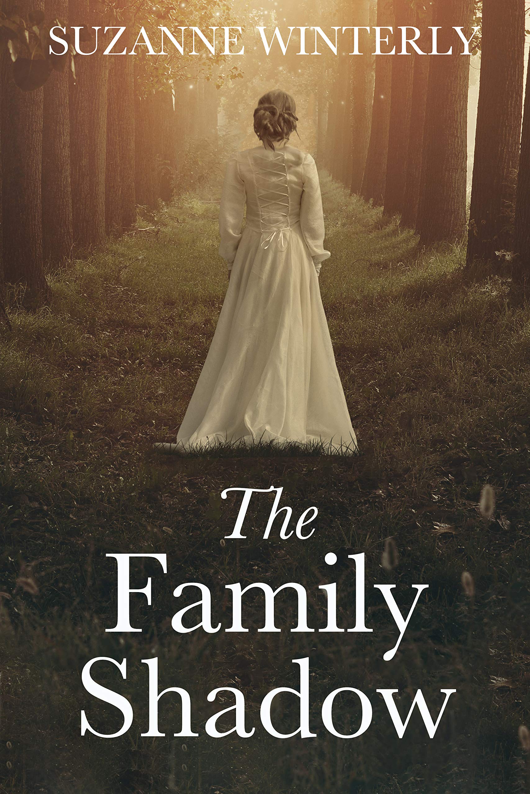 The Family Shadow: A dual timeline mystery with long-buried secrets (Foley Family Mysteries Book 1)