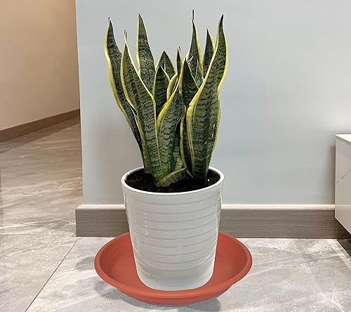 Vista 47 de 5 Packs Plant Saucer Pot Tray 6 8 10 12 14 16 19 20 Inch Plastic Flower Planter Saucers and Drip Trays for Indoors Outdoors, Heavy Durable Plant