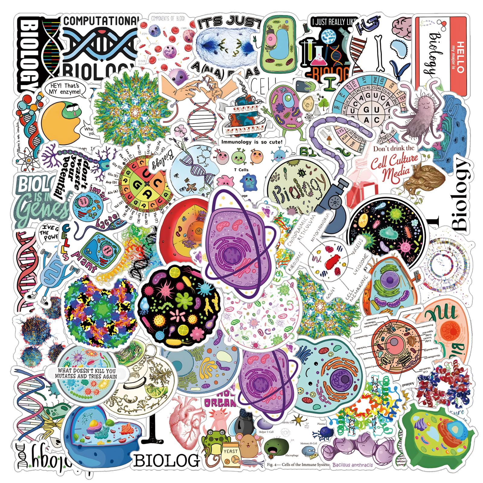 61 Pcs Biology Stickers Cartoon Science Aesthetics Vinyl Waterproof Decals for Birthday Party Supplies Decoration Choice for Helmet Laptop Water