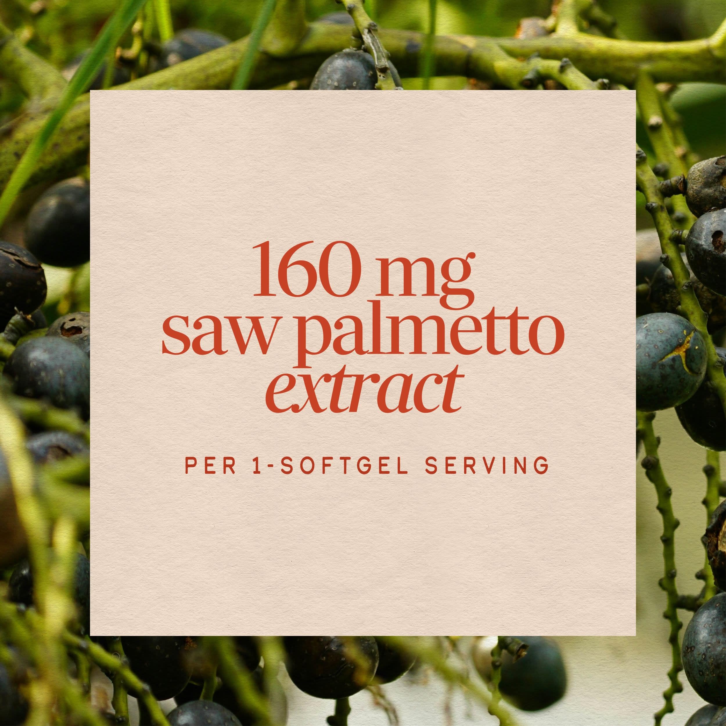 Nature's Way Saw Palmetto, Standardized Extract Softgels for Men, 120 ct — Amazon image 4