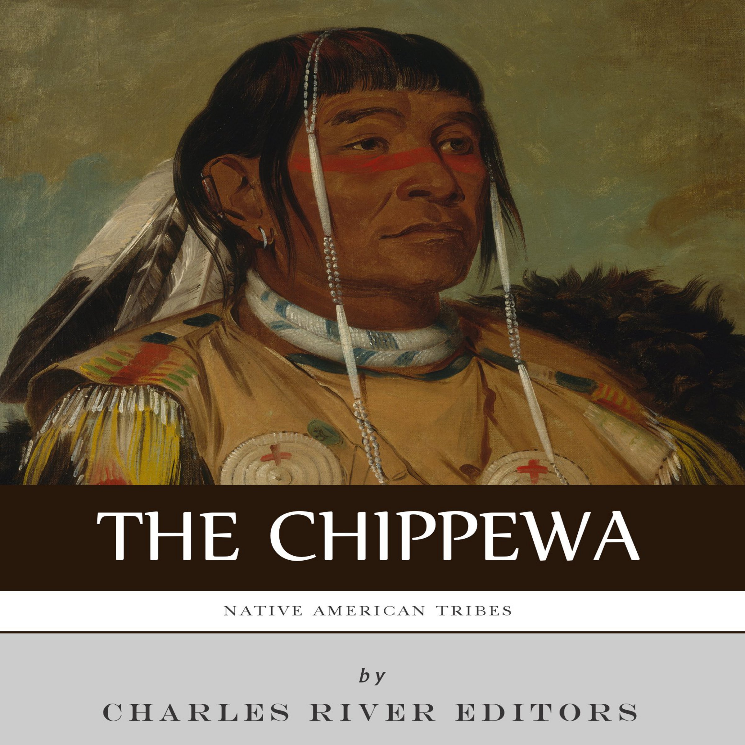 Cover art for Native American Tribes: The History and Culture of the Chippewa