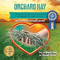 Vista 5 de Small Pet Select Orchard Grass Hay - Alimento para mascotas para conejos, cobayas, chinchillas y otros animales pequeños, heno natural premium