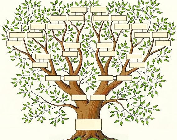 Amazon.com: Home Comforts Blank Fillable Ancestry Family Chart , Tree ...