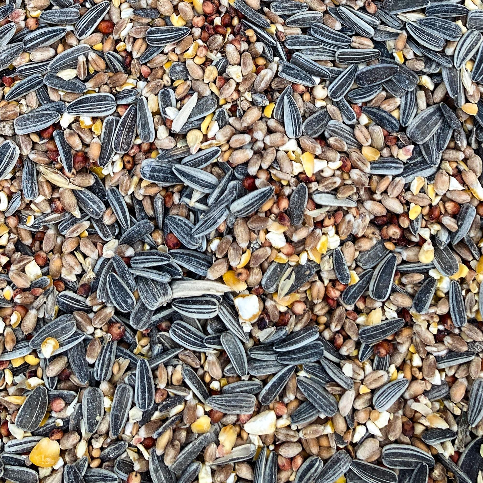 SQUAWK Mezcla de Semillas para Aves 100% Natural - Mezcla de Trigo, Maíz, Sorgo, Girasol y Mijo - Nutrición Esencial para Aves de Jardín