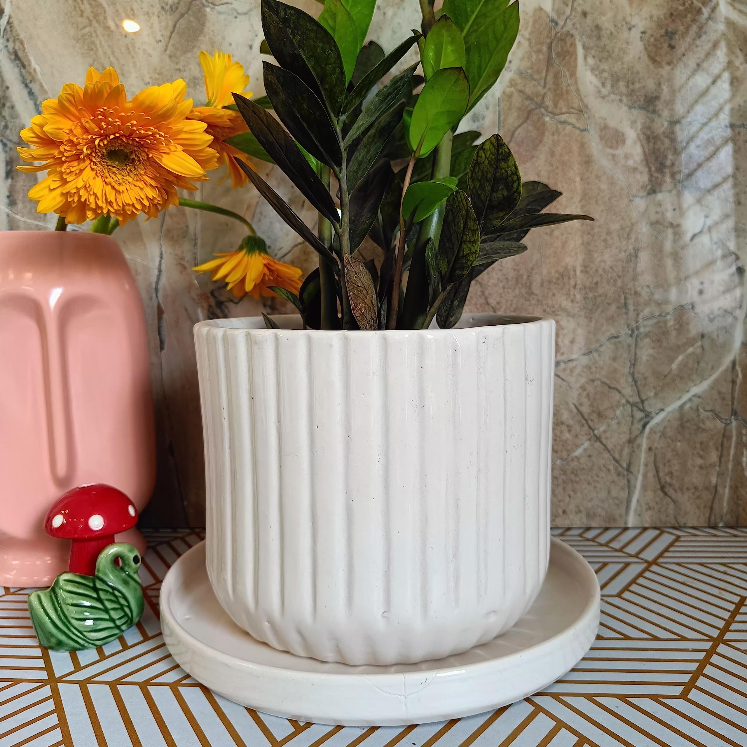 Niyara line Design Stylish Large Ceramic Pots Planters for Indoor Plants,Outdoor,Balcony,Home,Garden,Office Size -8 inches (Snow White with Tray) (B0CBK8DZKG) Amazon Price History, Amazon Price Tracker