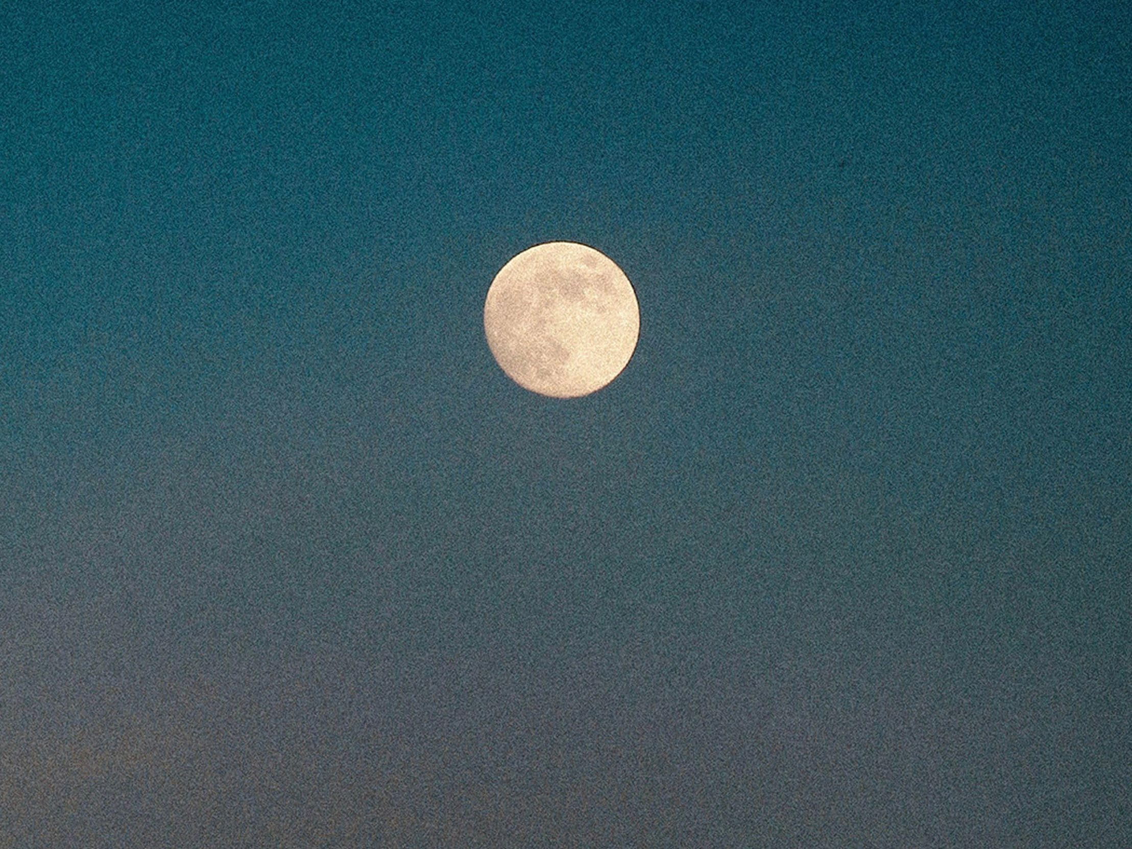 Inner Peace Champions