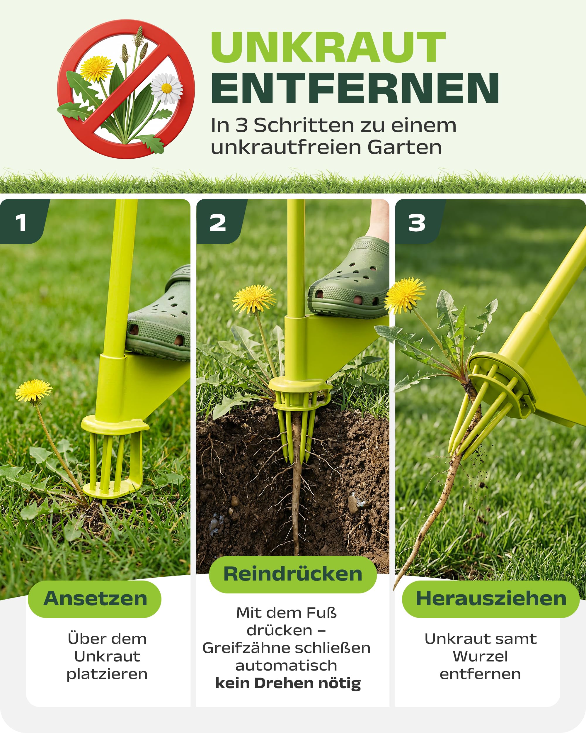 halmland® Désherbeur professionnel avec 6 griffes pour un retrait facile des mauvaises herbes - Appareil d'élimination des mauvaises herbes avec long manche - Pince à dents de pissenlit - Outil de