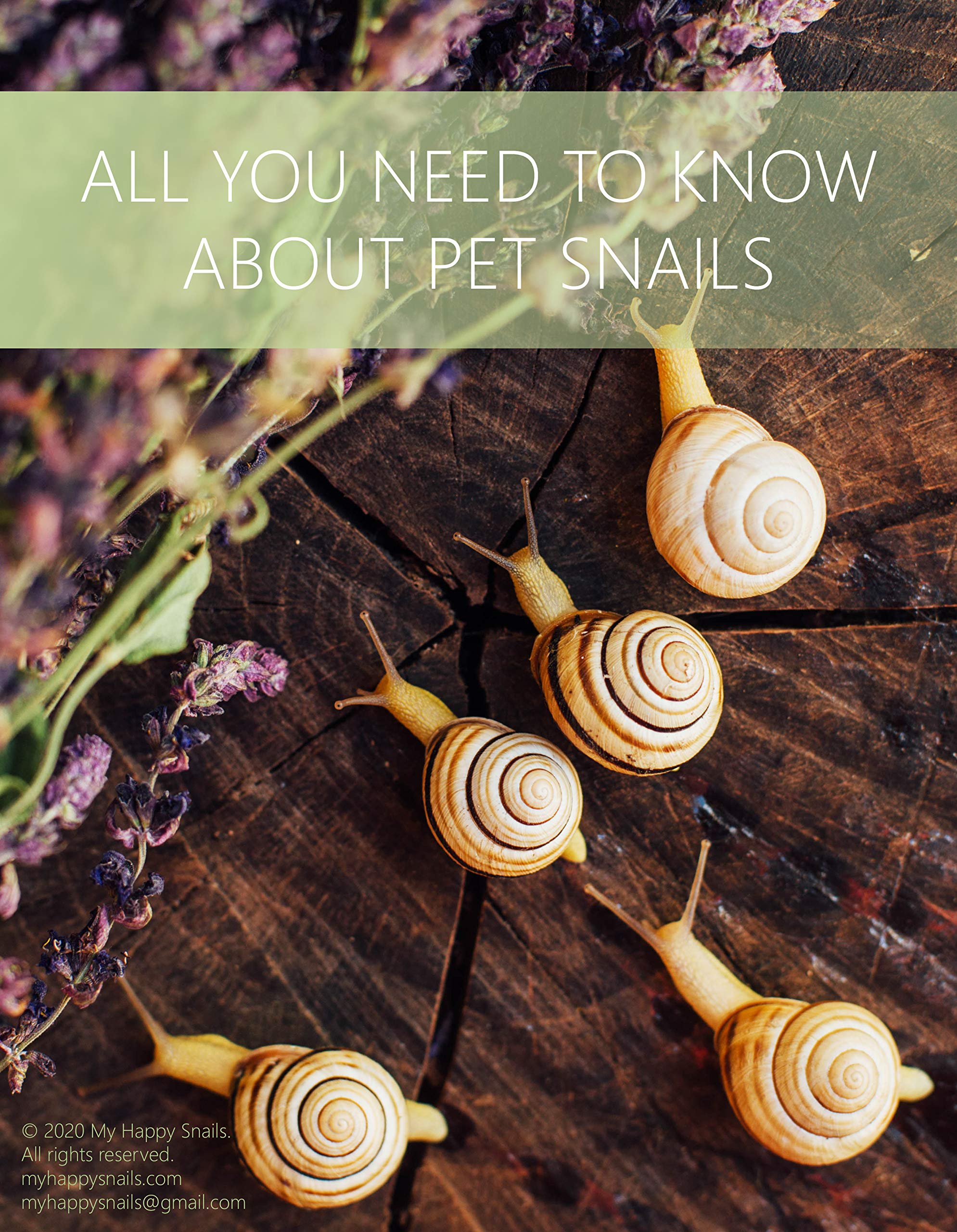 Buy "All you need to know about pet snails" Land snails, Slugs