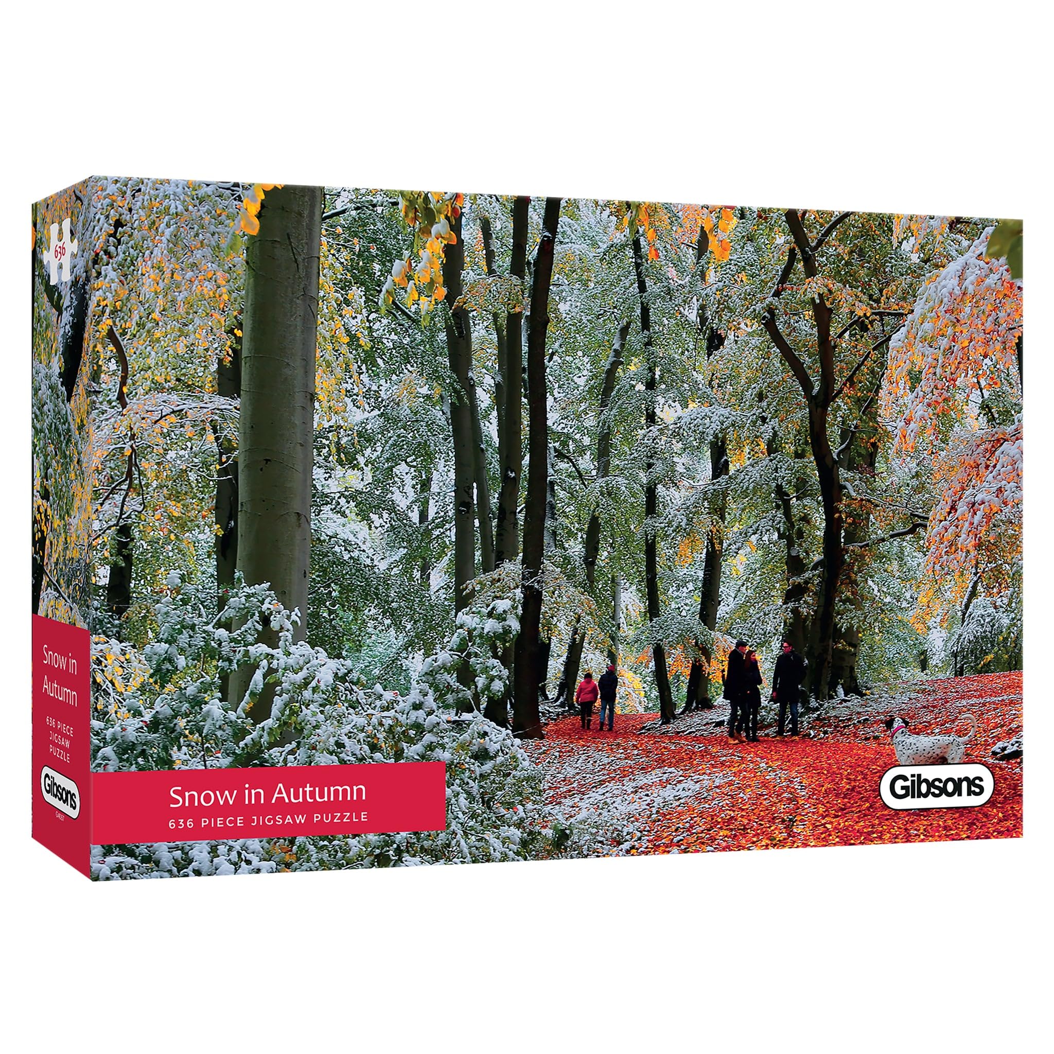 Snow in Autumn
