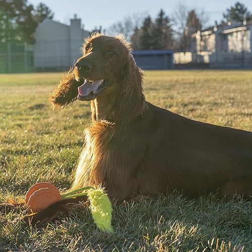 Miniatura 6 de Outward Hound Juguete de persecución de perro chirriante con cola peluda