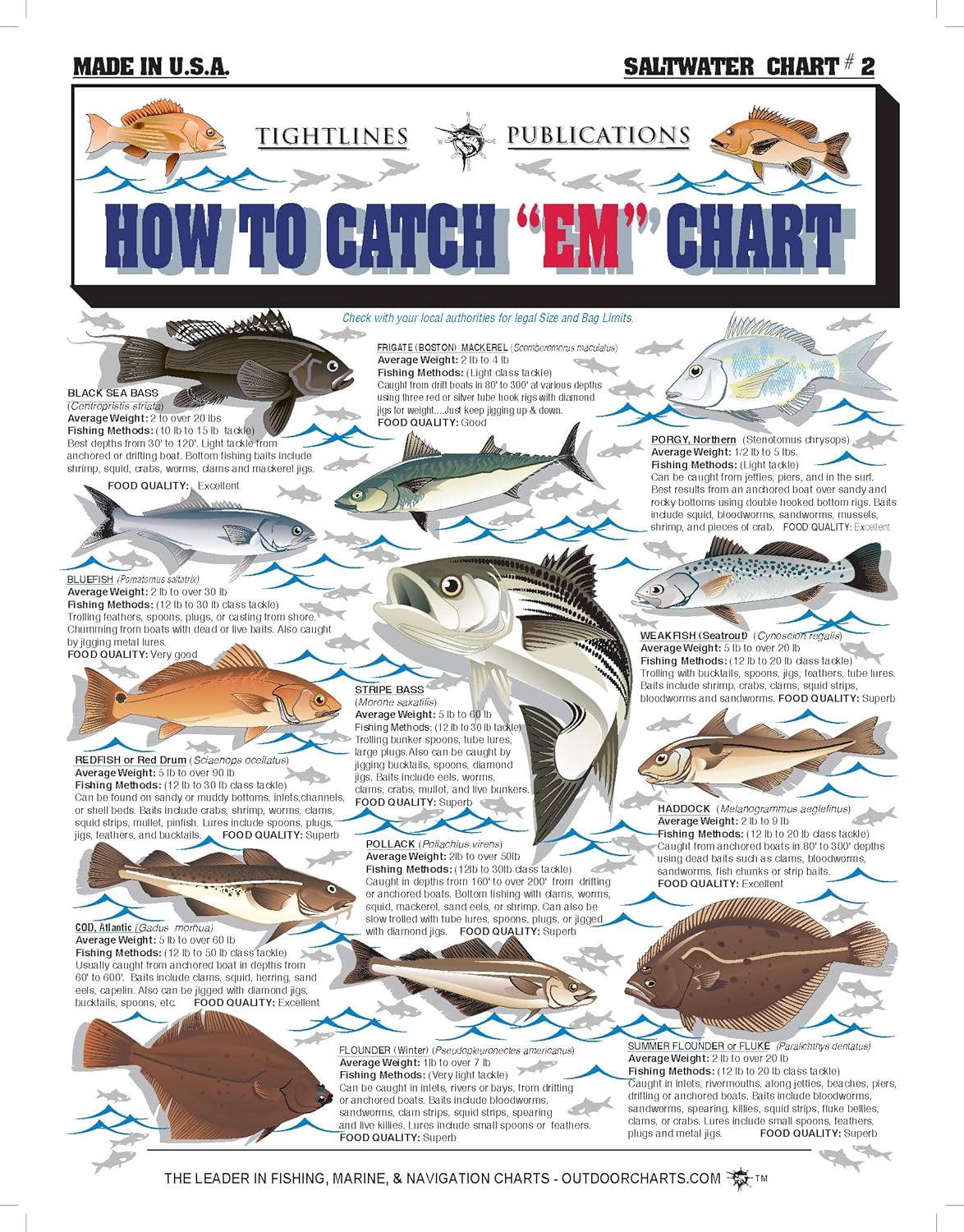 Saltwater Fish Identification Chart #2 - Waterproof Quick Reference Fishing Guide - Species ID + Fishing Methods - (Atlantic, Maine to The Carolinas) - Great Gift for Beginners