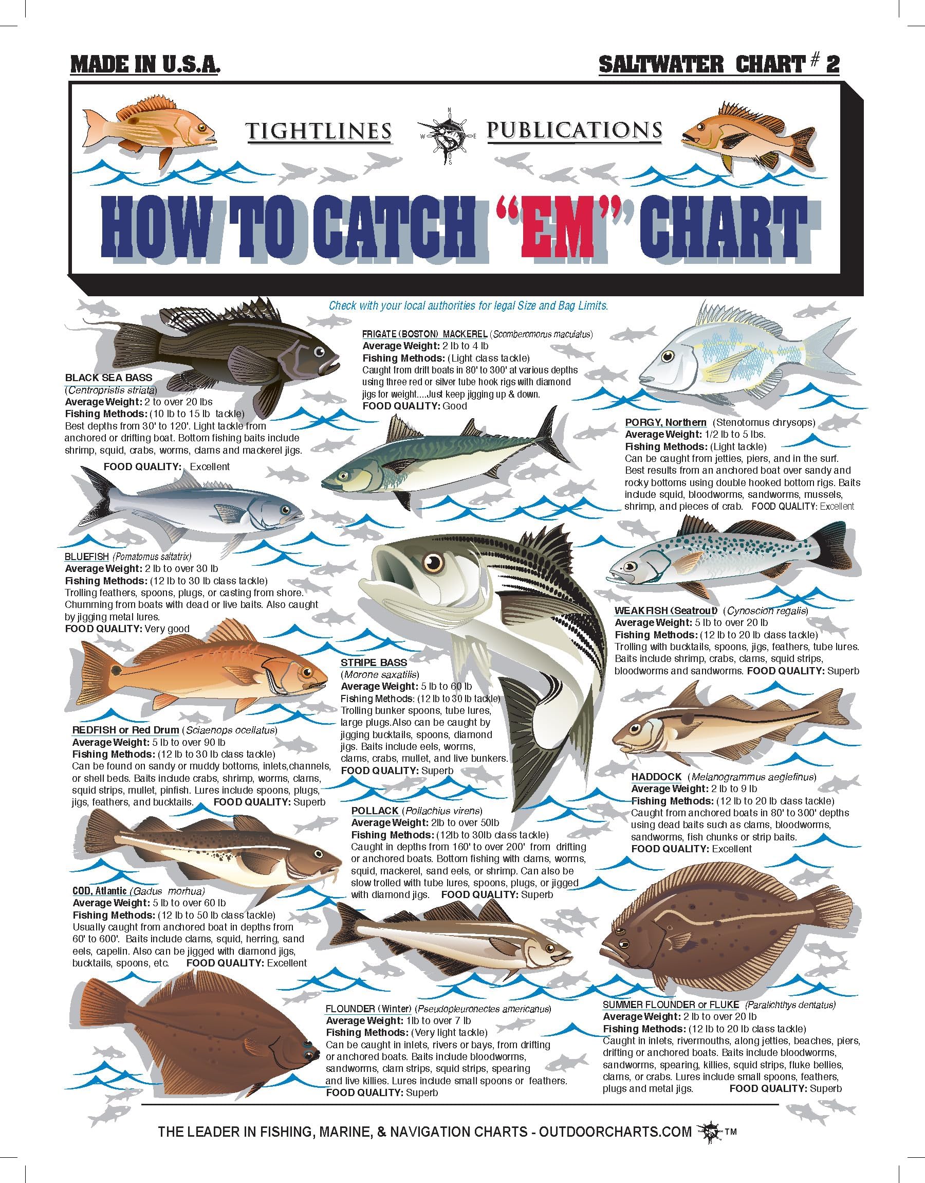 Saltwater Fish Identification Chart #2 - Waterproof Quick Reference Fishing Guide - Species ID + Fishing Methods - (Atlantic, Maine to The Carolinas) - Great Gift for Beginners