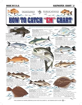 Saltwater Fish Identification Chart #2 - Waterproof Quick Reference Fishing Guide - Species ID + Fishing Methods - Atlantic, Maine to The Carolinas - Great Gift for Beginners