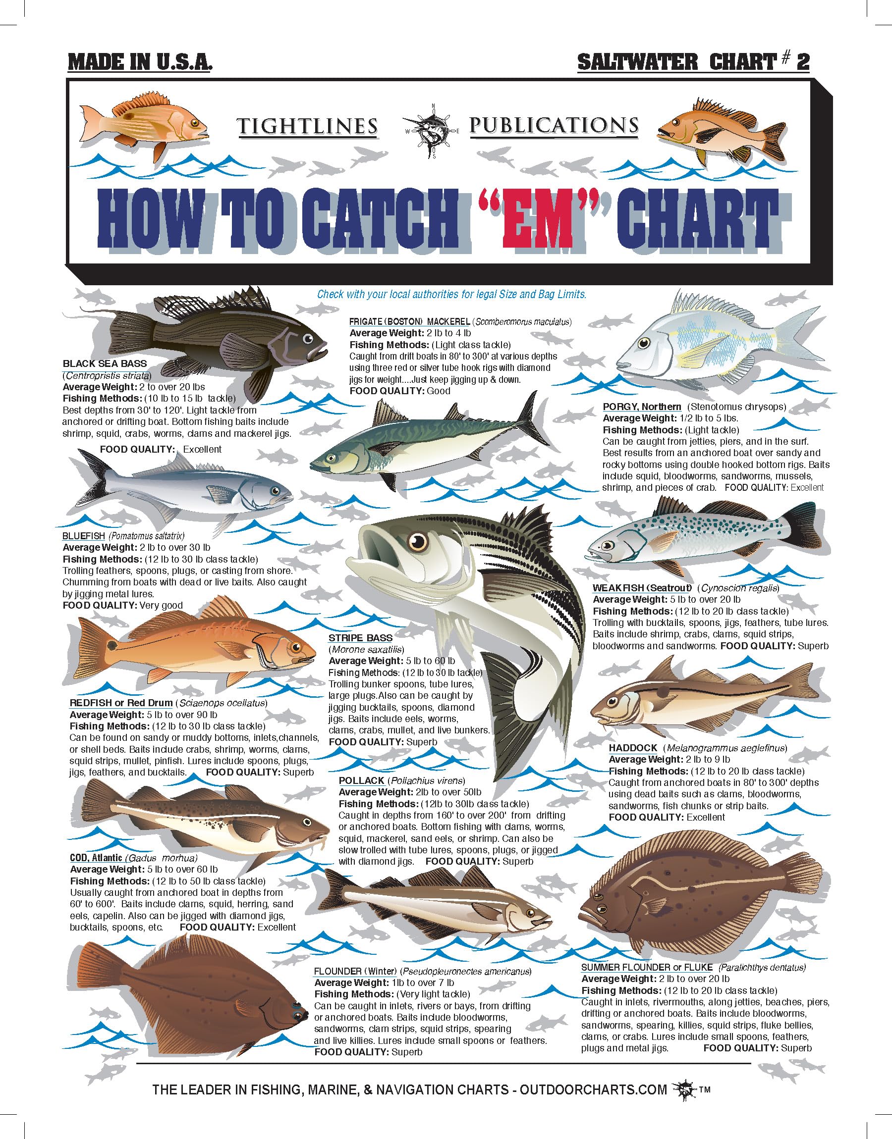 Amazon.com : Saltwater Fish Identification Chart #2 - Waterproof Quick Reference Fishing Guide - Species ID + Fishing Methods - (Atlantic, Maine to The Carolinas) - Great Gift for Beginners : Fishing Charts And Maps : Sports & Outdoors Amazon.com : Saltwater Fish Identification Chart #2 - Waterproof Quick Reference Fishing Guide - Species ID + Fishing Methods - (Atlantic, Maine to The Carolinas) - Great Gift for Beginners : Fishing Charts And Maps : Sports & Outdoors