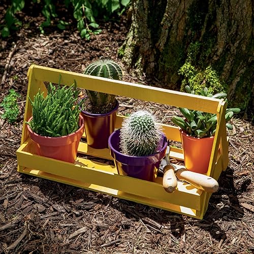 Vista 317 de Krylon - Pintura y primer en aerosol COLORmaxx K05511007, 12 onzas, rojo cereza brillante Cherry Red