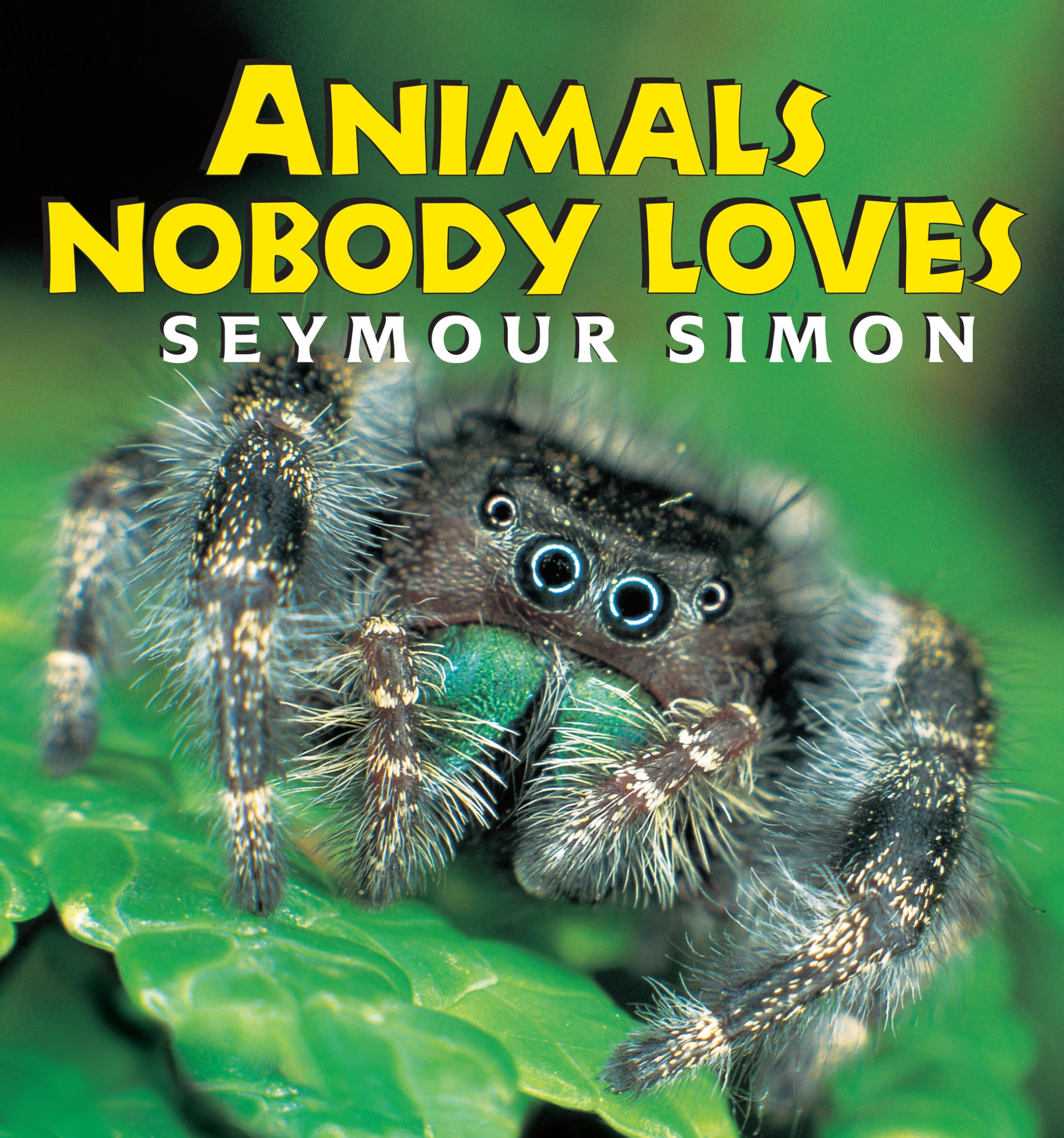 Animals Nobody Loves Paperback – Picture Book, July 1, 2002
