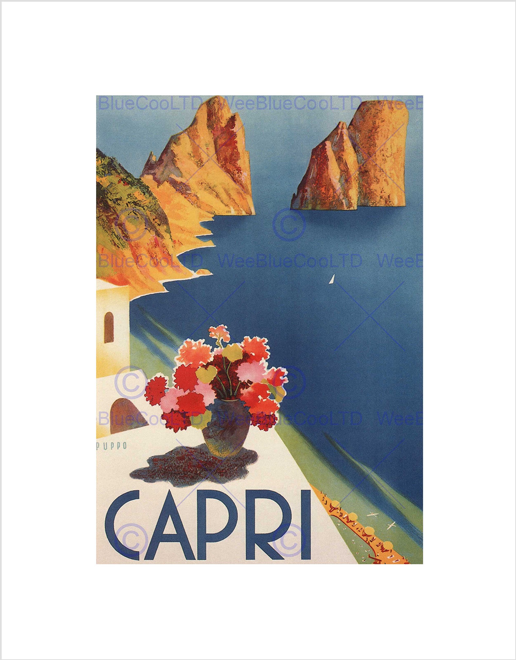 Wee Blue Coo TRAVEL TOURISM ITALY CAPRI ISLAND SUN FLOWERS SEA FRAMED ART PRINT B12X4683