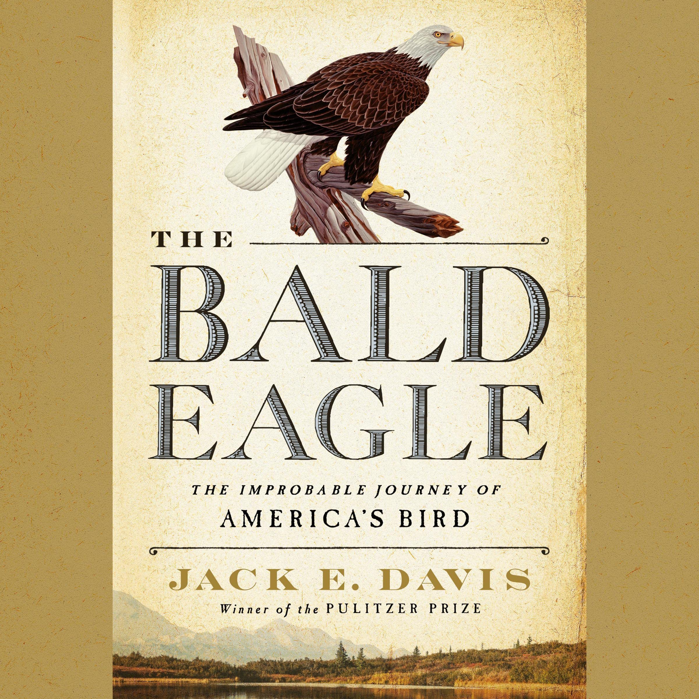 Cover art for The Bald Eagle