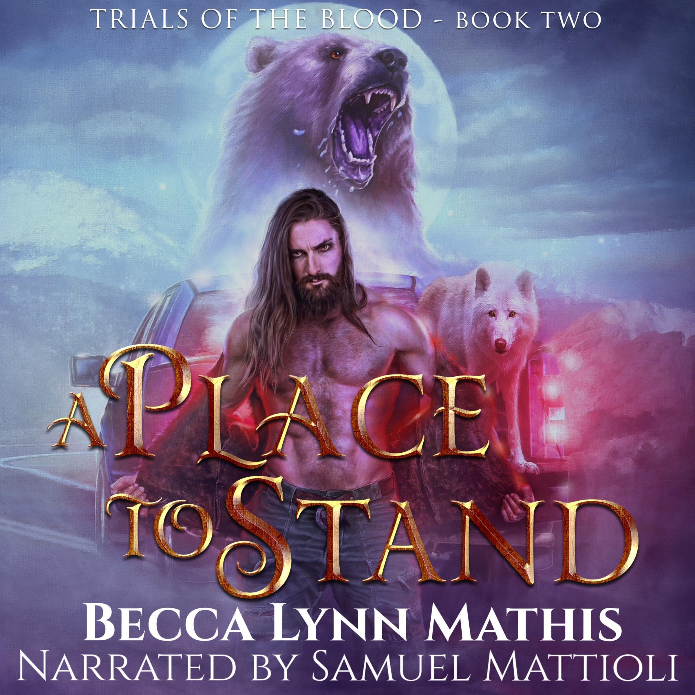 Cover art for A Place to Stand