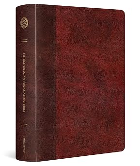 ESV Single Column Journaling Bible, Large Print TruTone, Burgundy/Red, Timeless Design Holy Bible, English Standard Version