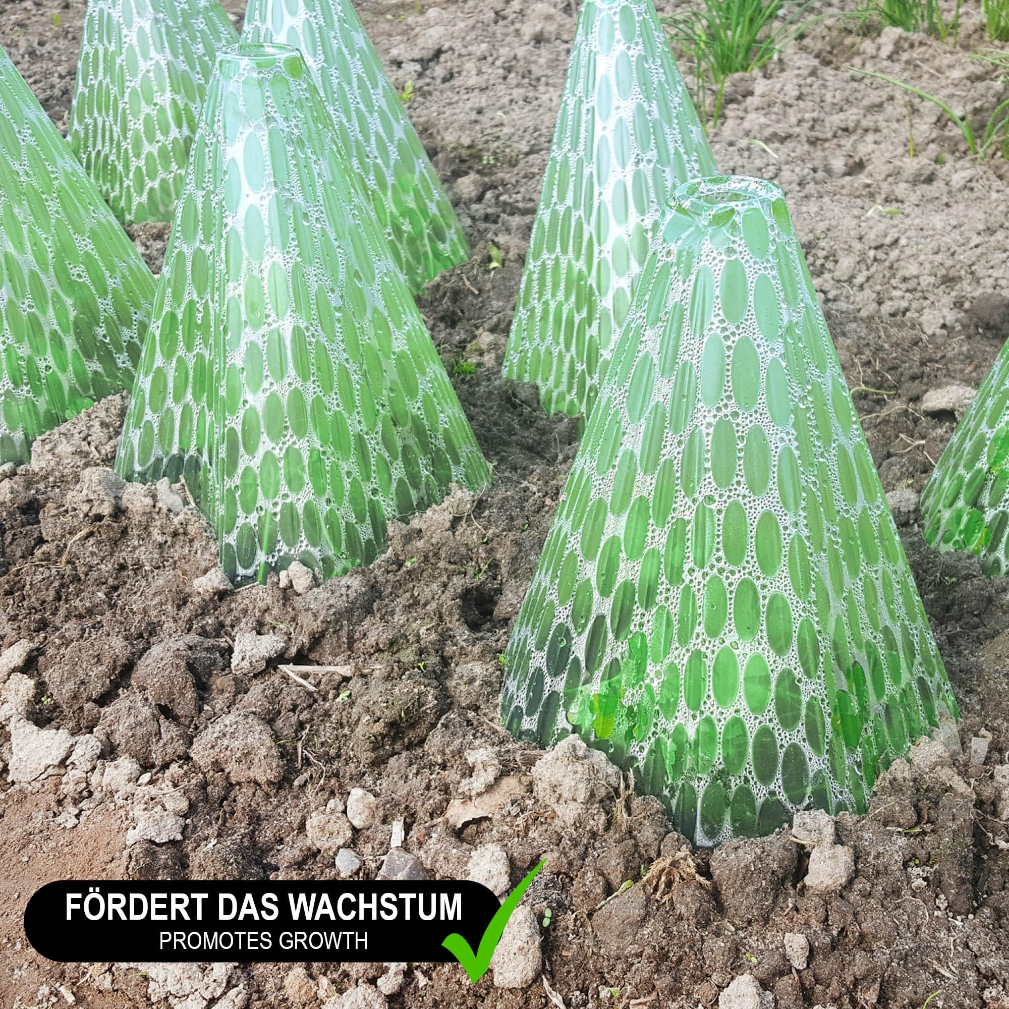 COM-FOUR® 24x kapelusz przeciwsloneczny do roslin, srodek wspomagajacy | wysokosc ok. 23 cm