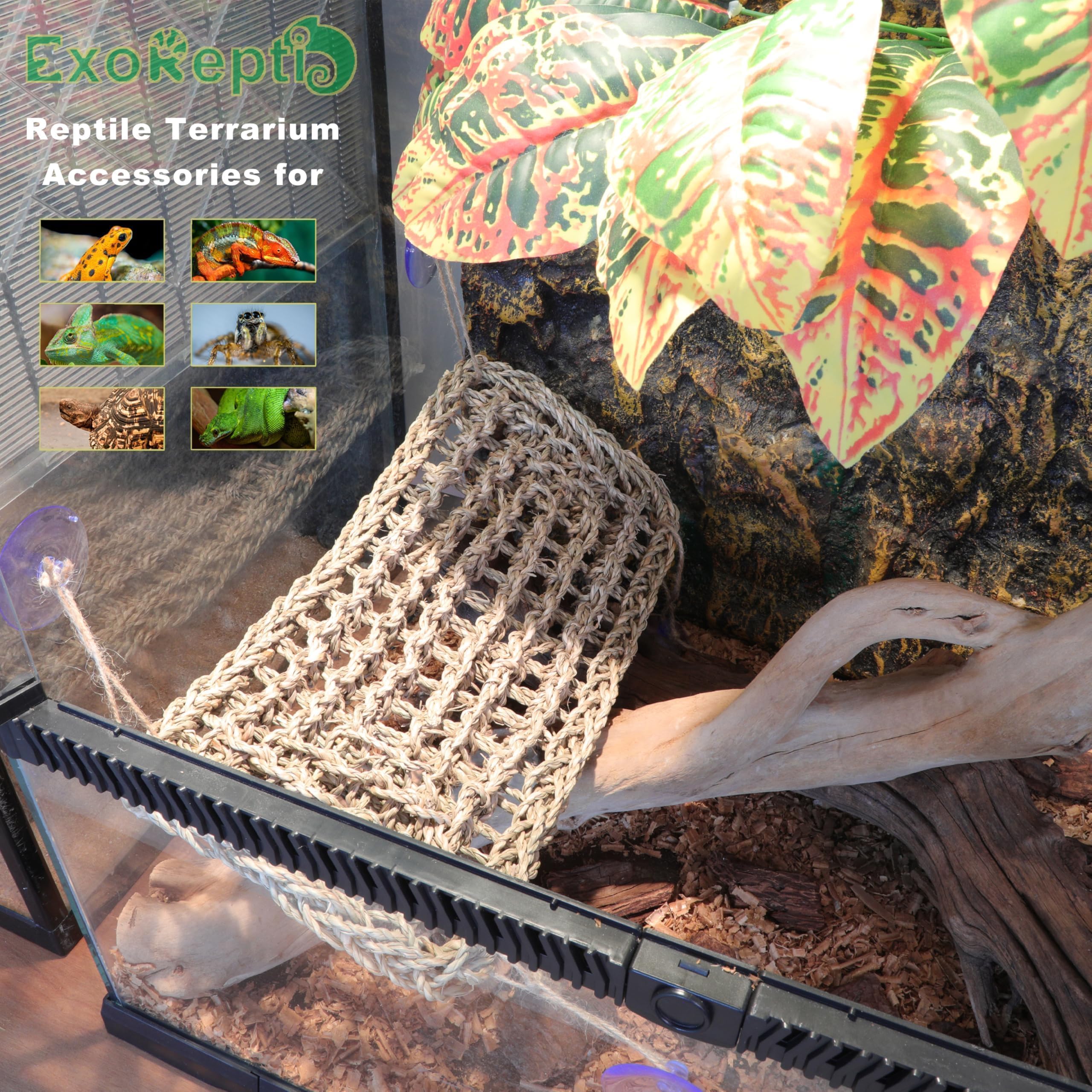 Amaca per lucertola con drago barbuto, accessori per rettili, anfibi, habitat per camaleonte, gechi, serpenti, granchi eremiti, rettili lguana, tartarughe