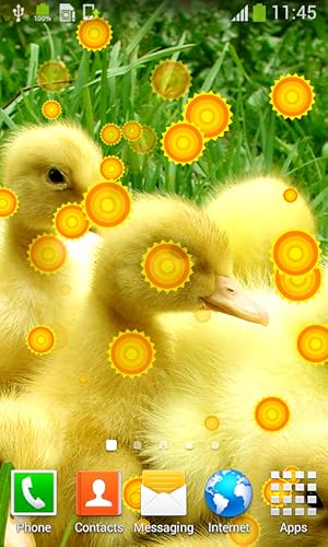 Imagens animadas de Sweet Animals Live