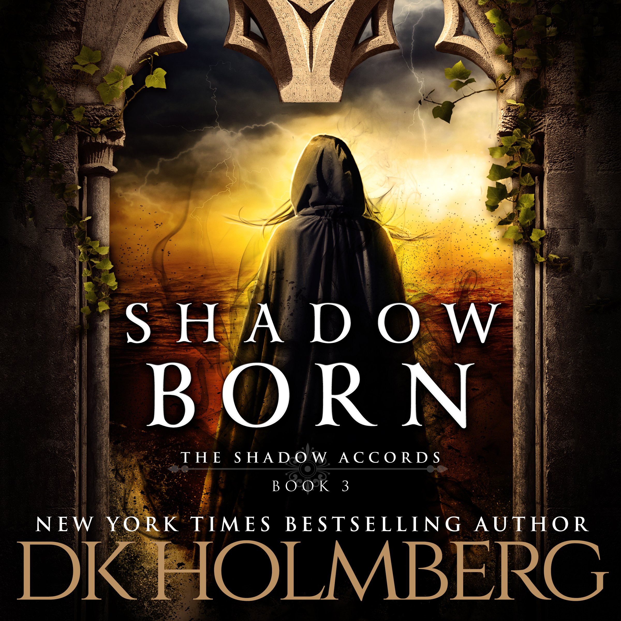 Cover art for Shadow Born