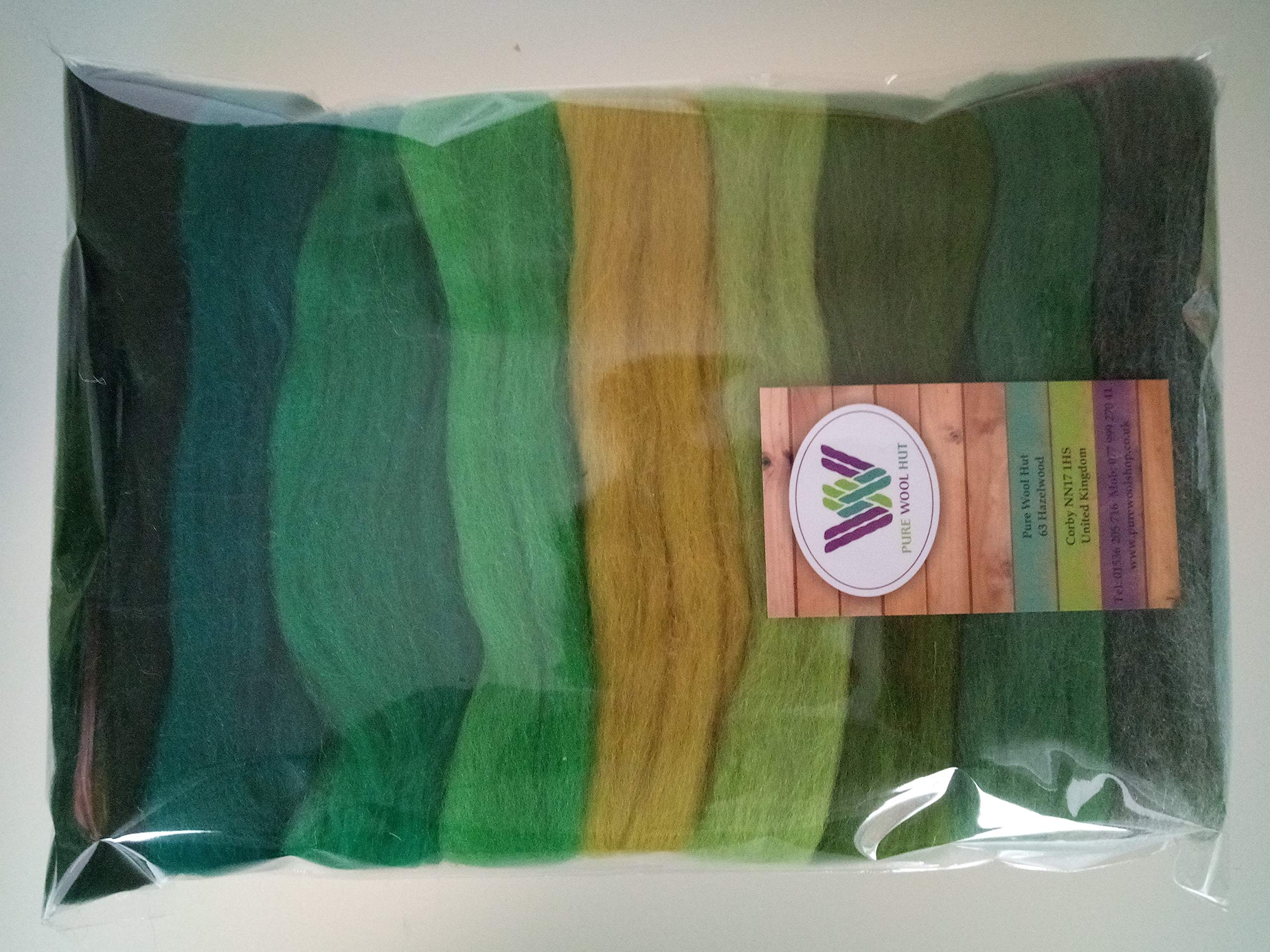 100% Merino Wool Roving, Needle & Wet Felting, Spinning, Weaving & DIY Wool Craft Set 90 g (Green 90 g), Green Pack: Forest