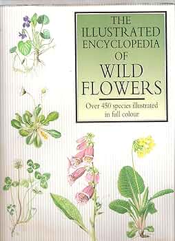 Elsa Flesko 植物図鑑　Wild Flowers 1956 ボタニカル 1956年 Wild Flowers by Elsa Maria Felsk（1956 A Book of Wild