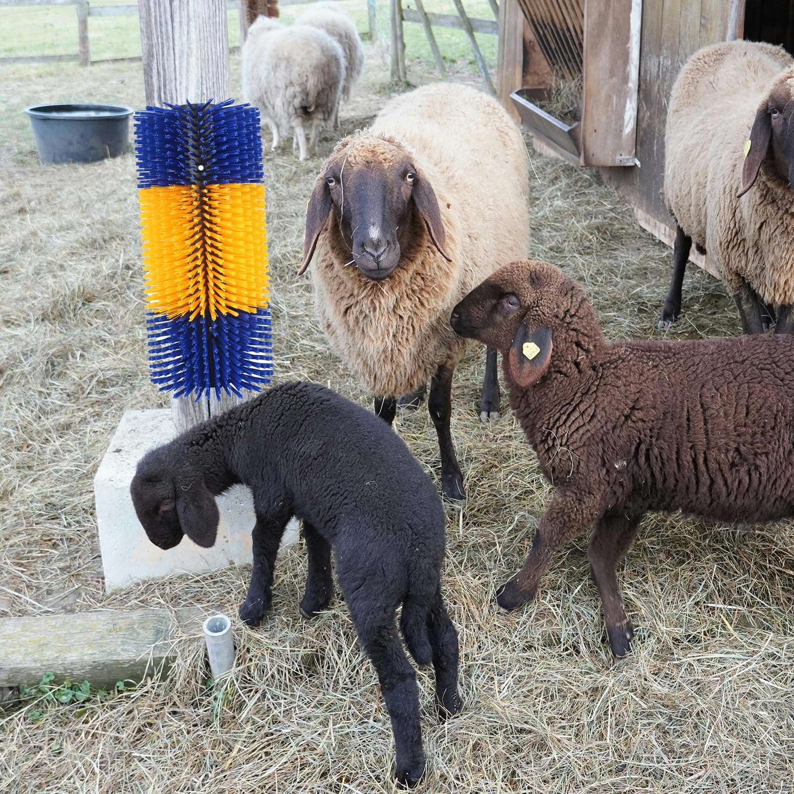 Spazzola da graffio per bestiame Spazzola per cavalli Mucca Tiragraffi Post Bestiame Graffiare Massaggio completo Spazzola per toelettatura Bestiame Strumento anti-prurito Bestiame, Cavallo, Bestiame,