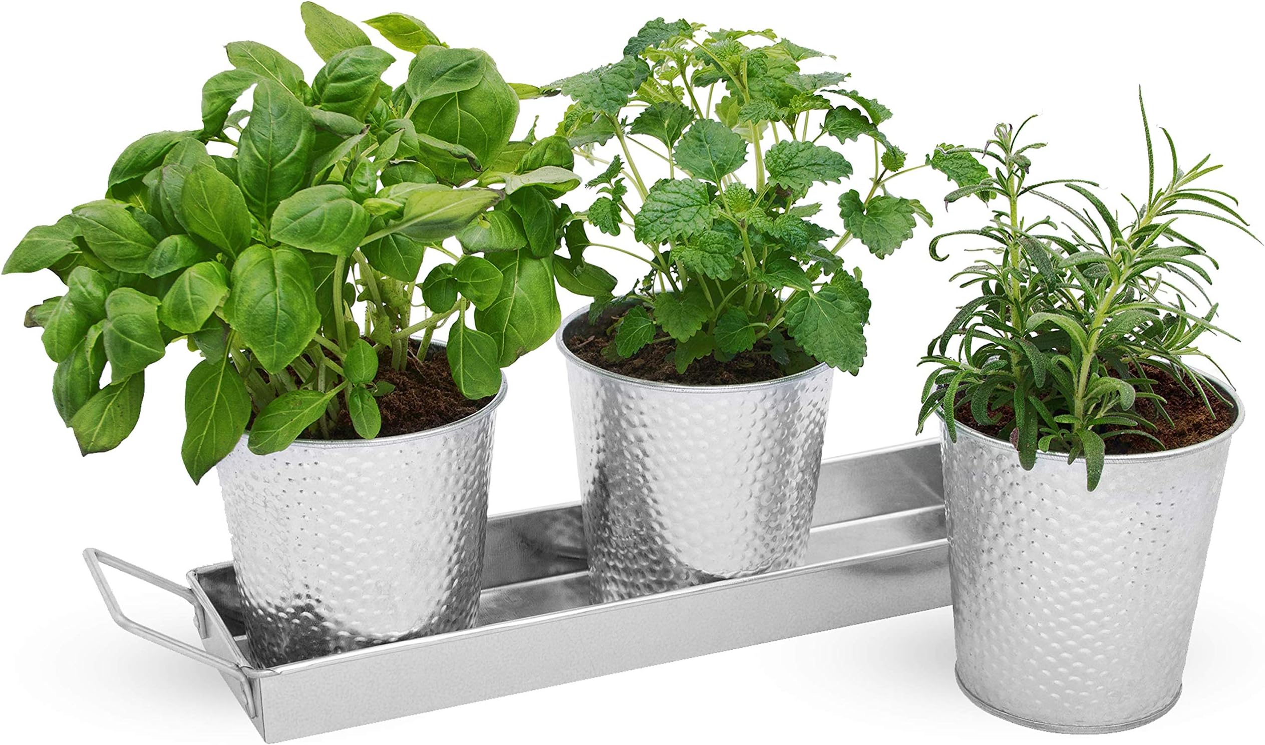Saratoga Home Small Plant Pots with Drainage Holes Use as Herb Garden Planters, Shallow Planter, Succulent or Flower Pots, Outdoor Indoor Planter Pots with Drainage & Tray, 3 Set of 4 inch Pots