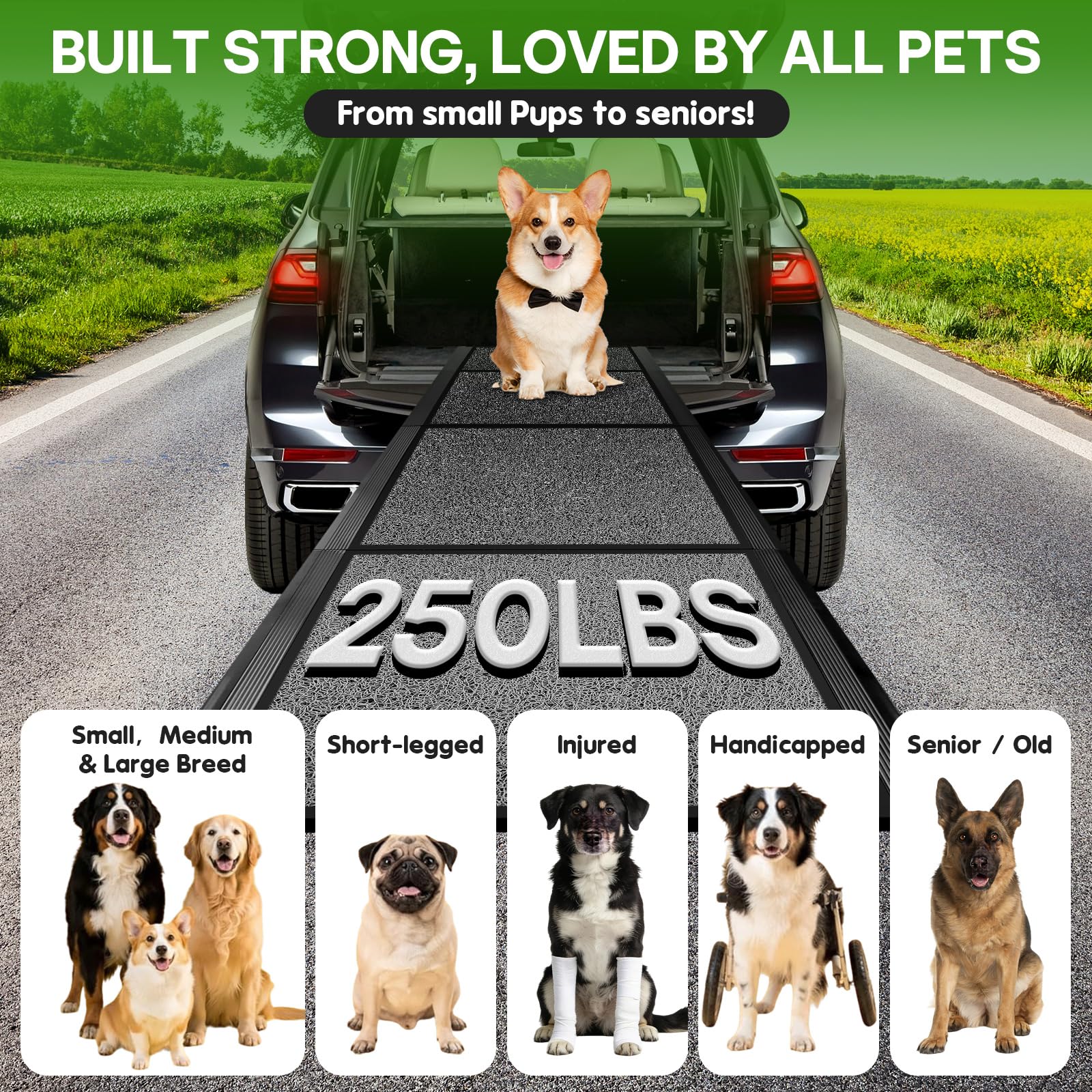 Healifty Hunderampe Auto Klappbar, Hunderampe, Zusammenklappbare Hundetreppe, Montage in 5s, Leichtem Aluminiumrahmen & Rutschfester Oberfläche, Rampe Hund für 110kg Große Hunde SUV & LKW (170x45CM)