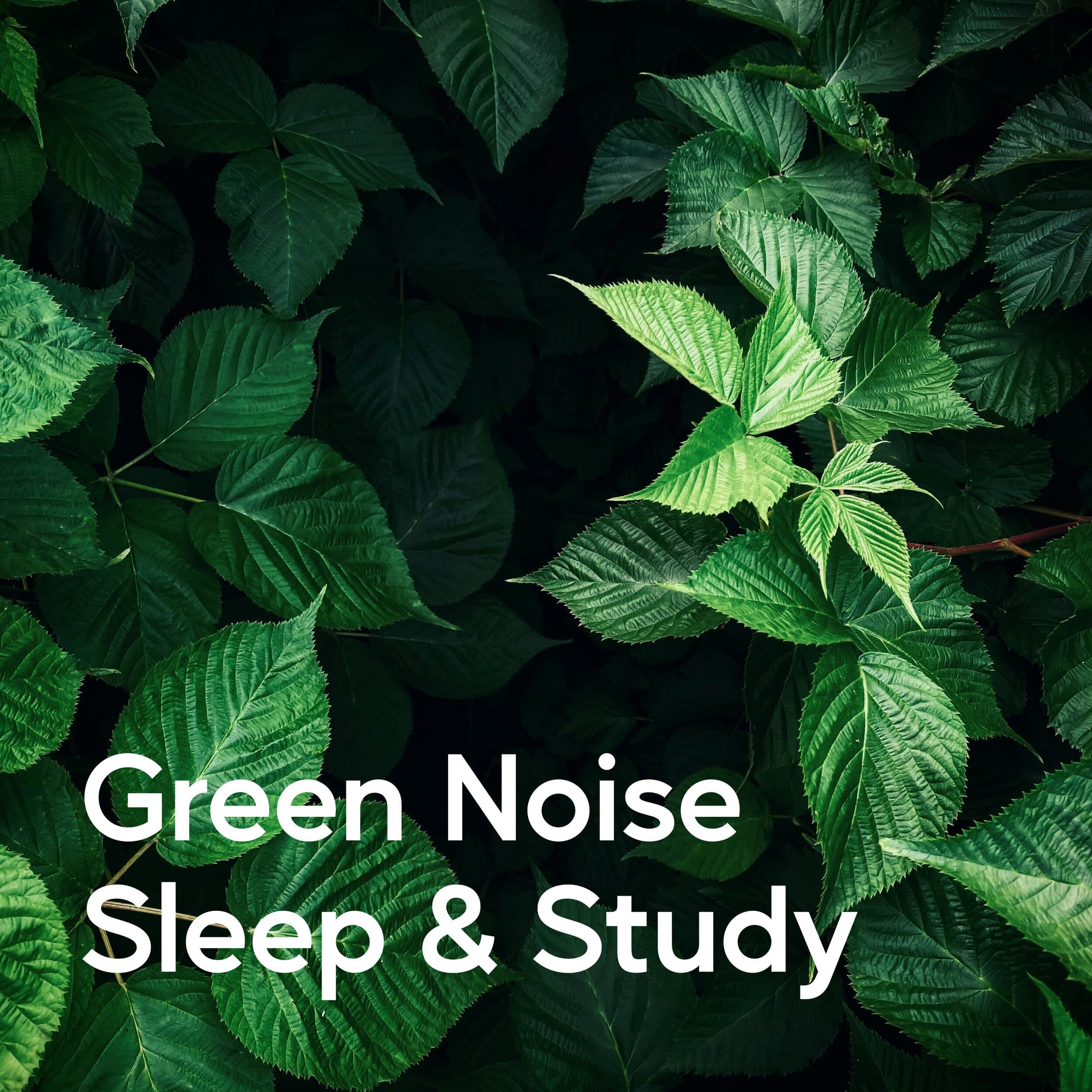 Green Noise Sleep
