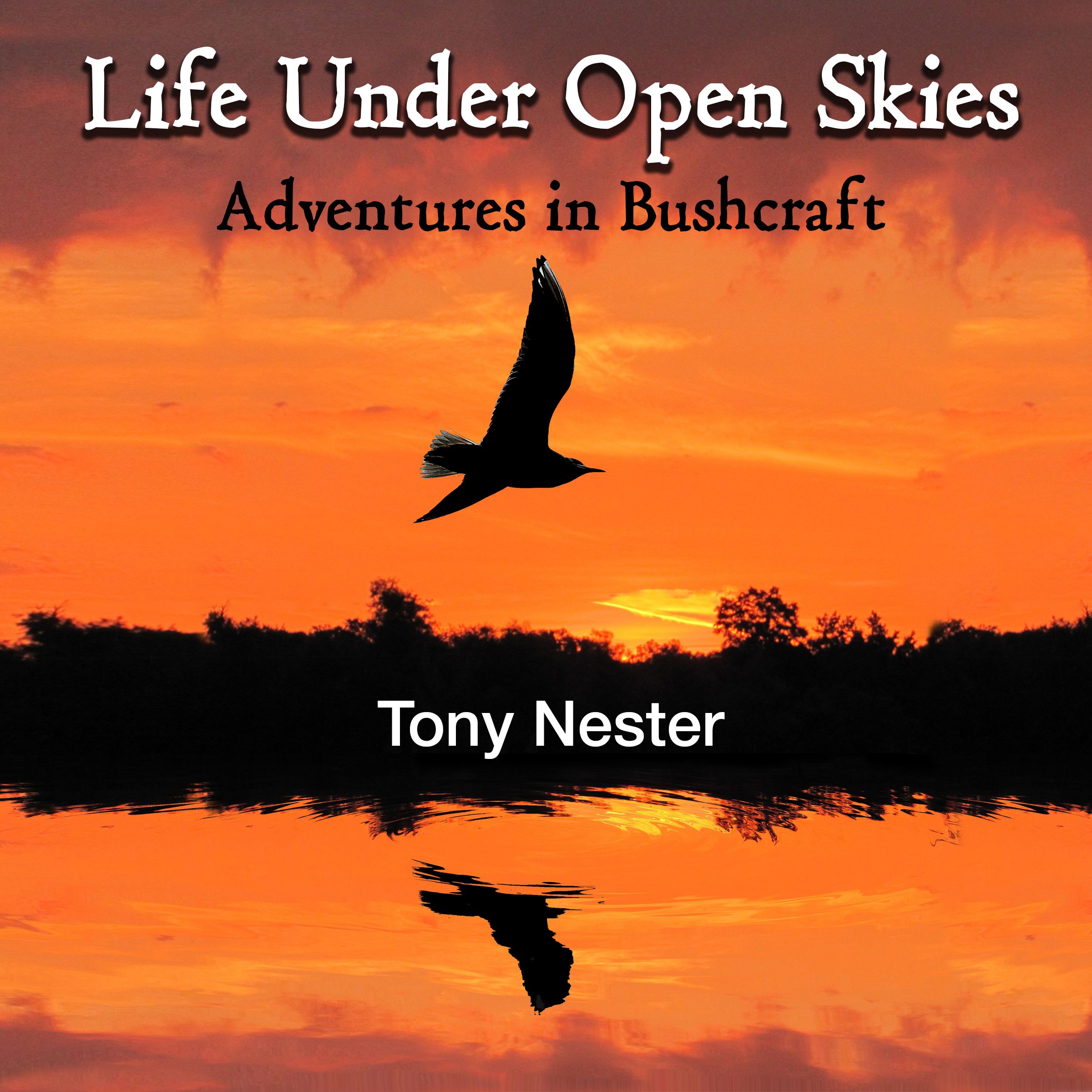 Cover art for Life Under Open Skies: Adventures in Bushcraft