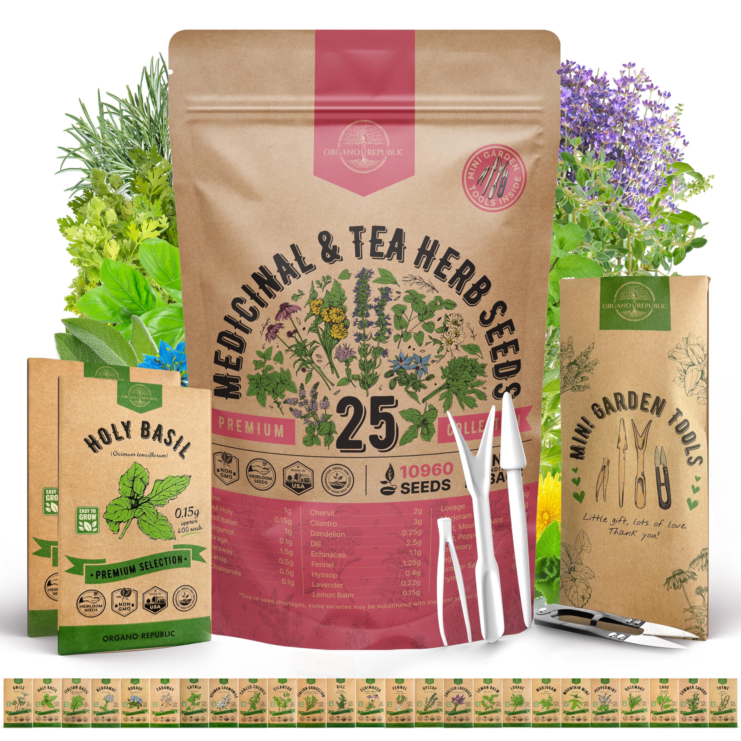 Organo Republic 25 Medicinal & Tea Herb Seeds Variety Pack for Indoor & Outdoors. 10900+ Non-GMO Heirloom Garden Seeds: Anise, Borage, Cilantro, Chamomile, Dandelion, Rosemary, Peppermint Seeds